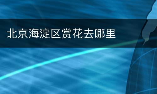 北京海淀区赏花去哪里