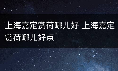 上海嘉定赏荷哪儿好 上海嘉定赏荷哪儿好点