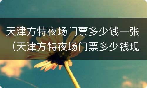 天津方特夜场门票多少钱一张（天津方特夜场门票多少钱现场）