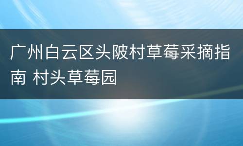 广州白云区头陂村草莓采摘指南 村头草莓园