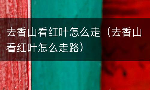 去香山看红叶怎么走（去香山看红叶怎么走路）