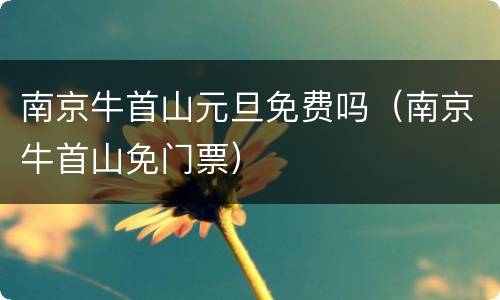 南京牛首山元旦免费吗（南京牛首山免门票）