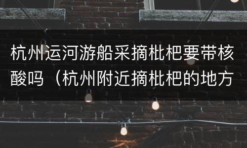 杭州运河游船采摘枇杷要带核酸吗（杭州附近摘枇杷的地方）