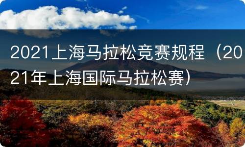 2021上海马拉松竞赛规程（2021年上海国际马拉松赛）