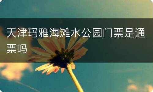 天津玛雅海滩水公园门票是通票吗