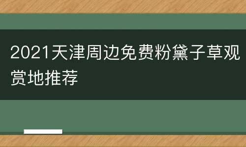 2021天津周边免费粉黛子草观赏地推荐
