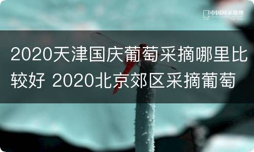 2020天津国庆葡萄采摘哪里比较好 2020北京郊区采摘葡萄