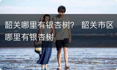 韶关哪里有银杏树？ 韶关市区哪里有银杏树