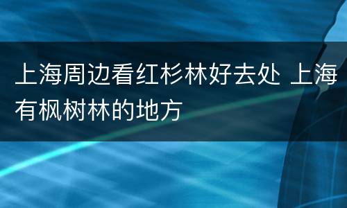 上海周边看红杉林好去处 上海有枫树林的地方