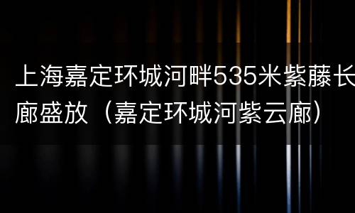 上海嘉定环城河畔535米紫藤长廊盛放（嘉定环城河紫云廊）