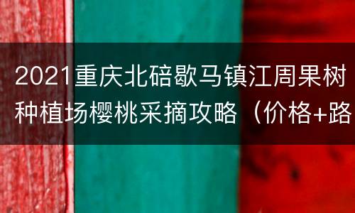 2021重庆北碚歇马镇江周果树种植场樱桃采摘攻略（价格+路线）