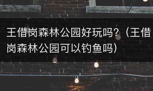 王借岗森林公园好玩吗?（王借岗森林公园可以钓鱼吗）