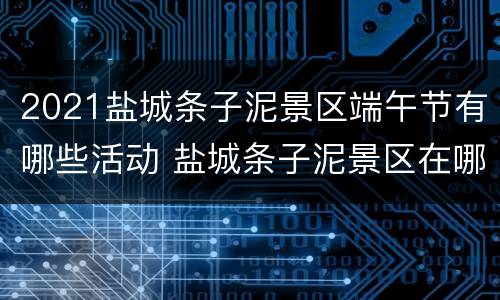2021盐城条子泥景区端午节有哪些活动 盐城条子泥景区在哪里