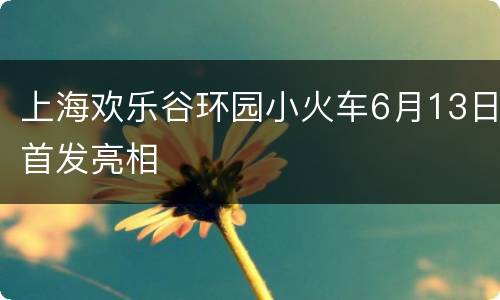 上海欢乐谷环园小火车6月13日首发亮相
