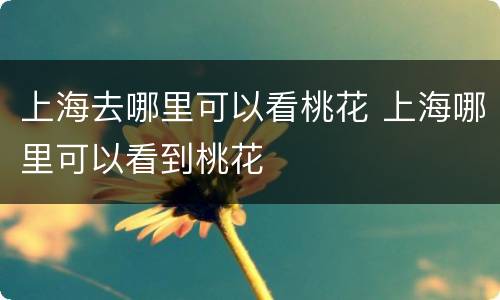 上海去哪里可以看桃花 上海哪里可以看到桃花