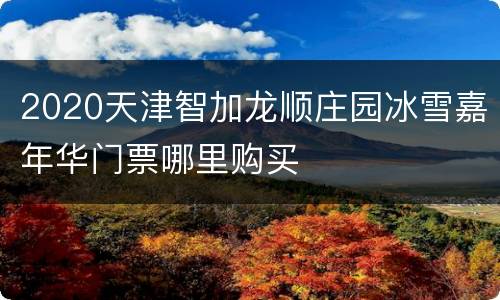 2020天津智加龙顺庄园冰雪嘉年华门票哪里购买