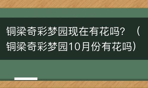铜梁奇彩梦园现在有花吗？（铜梁奇彩梦园10月份有花吗）