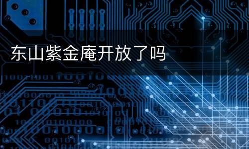 东山紫金庵开放了吗