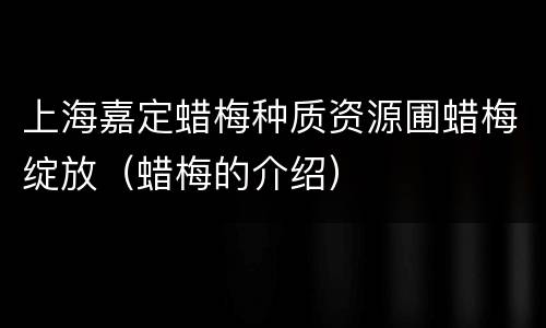 上海嘉定蜡梅种质资源圃蜡梅绽放（蜡梅的介绍）