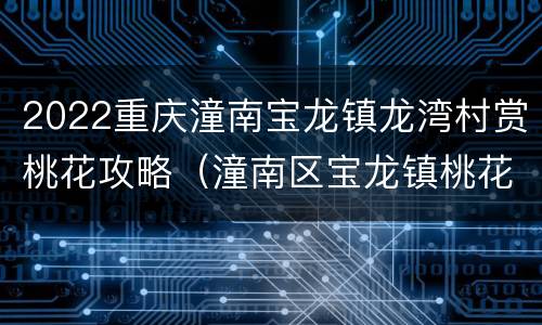 2022重庆潼南宝龙镇龙湾村赏桃花攻略（潼南区宝龙镇桃花节）