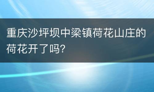 重庆沙坪坝中梁镇荷花山庄的荷花开了吗？