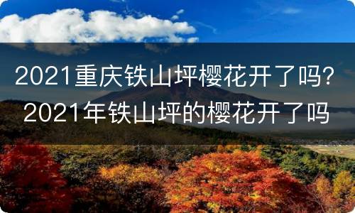 2021重庆铁山坪樱花开了吗？ 2021年铁山坪的樱花开了吗
