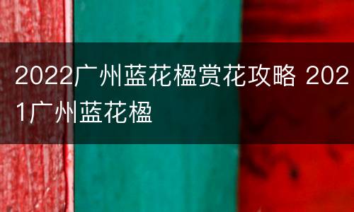 2022广州蓝花楹赏花攻略 2021广州蓝花楹