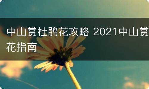 中山赏杜鹃花攻略 2021中山赏花指南