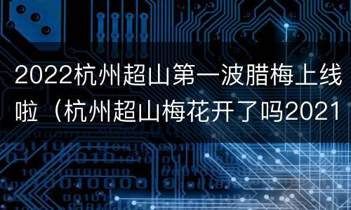 2022杭州超山第一波腊梅上线啦（杭州超山梅花开了吗2021）