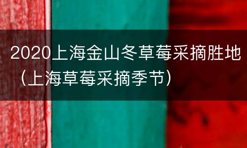 2020上海金山冬草莓采摘胜地（上海草莓采摘季节）