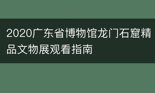 2020广东省博物馆龙门石窟精品文物展观看指南