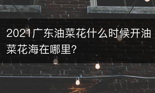 2021广东油菜花什么时候开油菜花海在哪里？