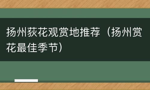 扬州荻花观赏地推荐（扬州赏花最佳季节）