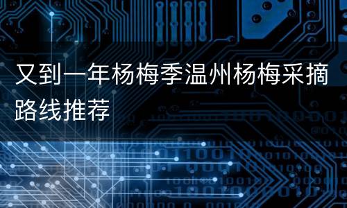 又到一年杨梅季温州杨梅采摘路线推荐