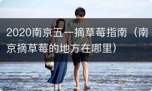 2020南京五一摘草莓指南（南京摘草莓的地方在哪里）