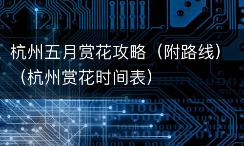 杭州五月赏花攻略（附路线）（杭州赏花时间表）