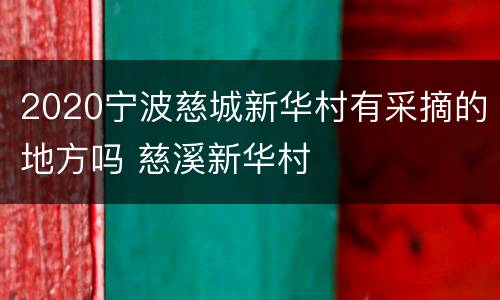 2020宁波慈城新华村有采摘的地方吗 慈溪新华村