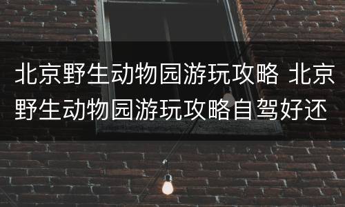 北京野生动物园游玩攻略 北京野生动物园游玩攻略自驾好还是坐小火车