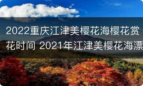 2022重庆江津美樱花海樱花赏花时间 2021年江津美樱花海漂不漂亮
