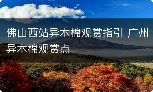 佛山西站异木棉观赏指引 广州异木棉观赏点