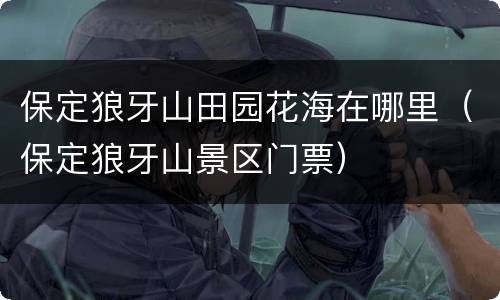 保定狼牙山田园花海在哪里（保定狼牙山景区门票）