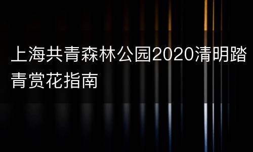 上海共青森林公园2020清明踏青赏花指南