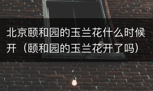 北京颐和园的玉兰花什么时候开（颐和园的玉兰花开了吗）