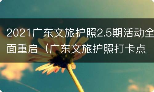 2021广东文旅护照2.5期活动全面重启（广东文旅护照打卡点）