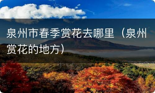 泉州市春季赏花去哪里（泉州赏花的地方）