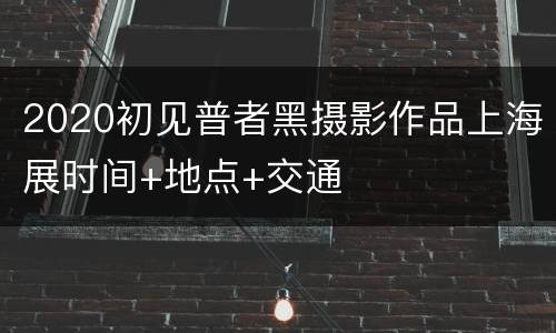 2020初见普者黑摄影作品上海展时间+地点+交通