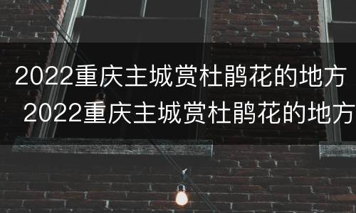 2022重庆主城赏杜鹃花的地方 2022重庆主城赏杜鹃花的地方有哪些