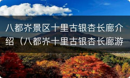 八都岕景区十里古银杏长廊介绍（八都岕十里古银杏长廊游览时间）