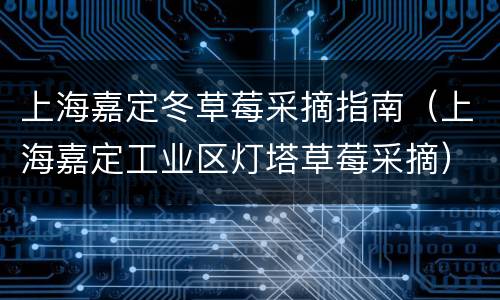 上海嘉定冬草莓采摘指南（上海嘉定工业区灯塔草莓采摘）