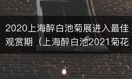 2020上海醉白池菊展进入最佳观赏期（上海醉白池2021菊花展）
